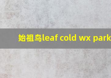 始祖鸟leaf cold wx parka